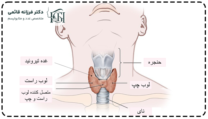 انواع اختلالات تیروئید