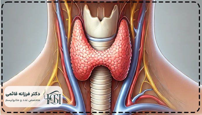 تیروئید پرکار