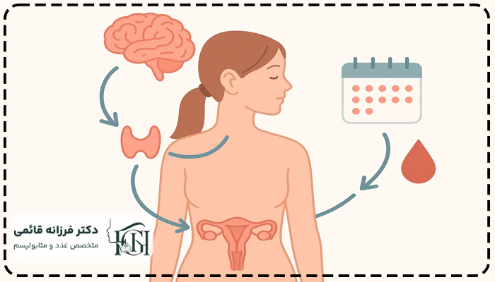 پرکاری تیروئید و پریودی